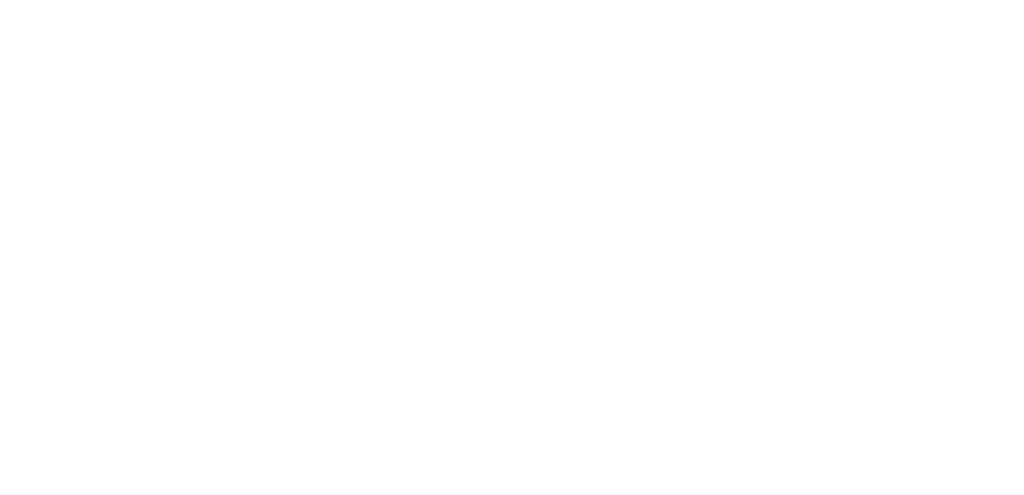 LOGO-STEVE-BASH